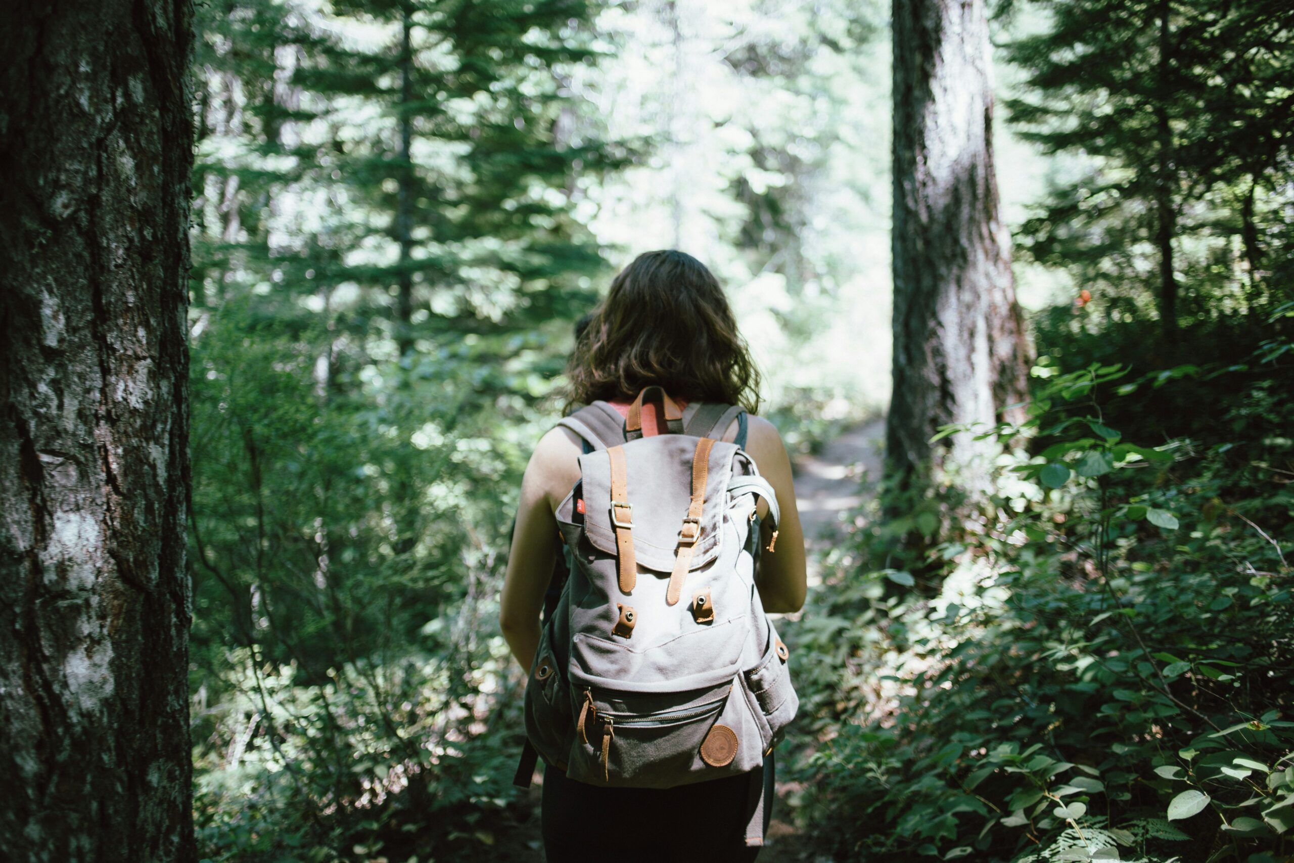 pilio hiking