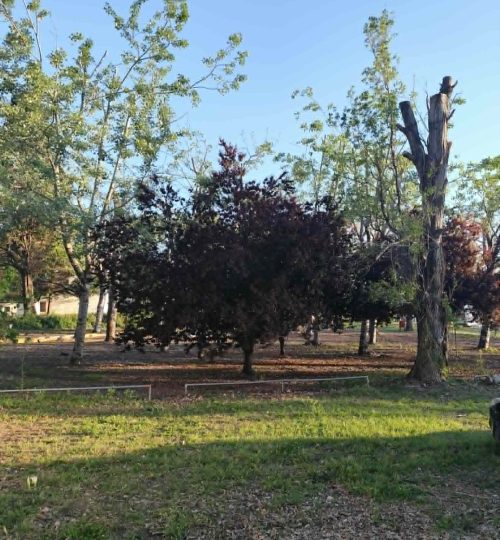 Φωτογραφίες camping24