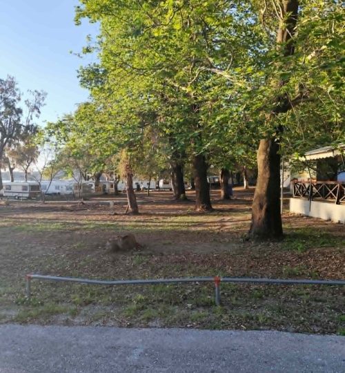 Φωτογραφίες camping25