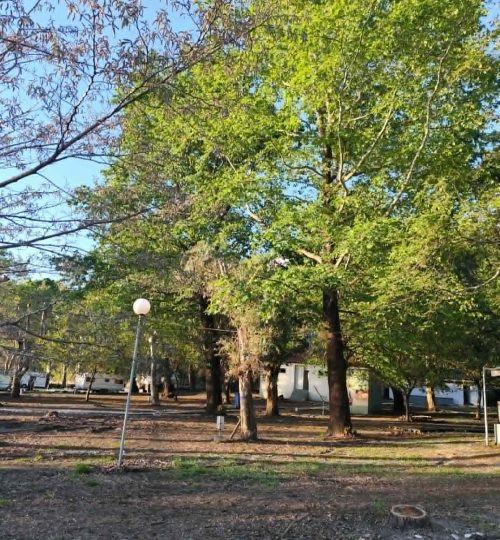 Φωτογραφίες camping29